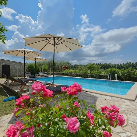 Roza Villa
